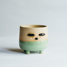 Load image into Gallery viewer, Little Dobby planter - green