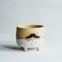 Load image into Gallery viewer, Mr Mo planter - White river birch