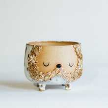 Load image into Gallery viewer, Dreamtime pot planter no.24