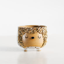 Load image into Gallery viewer, Dreamtime pot planter no.5