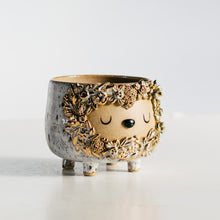 Load image into Gallery viewer, Dreamtime pot planter no.6